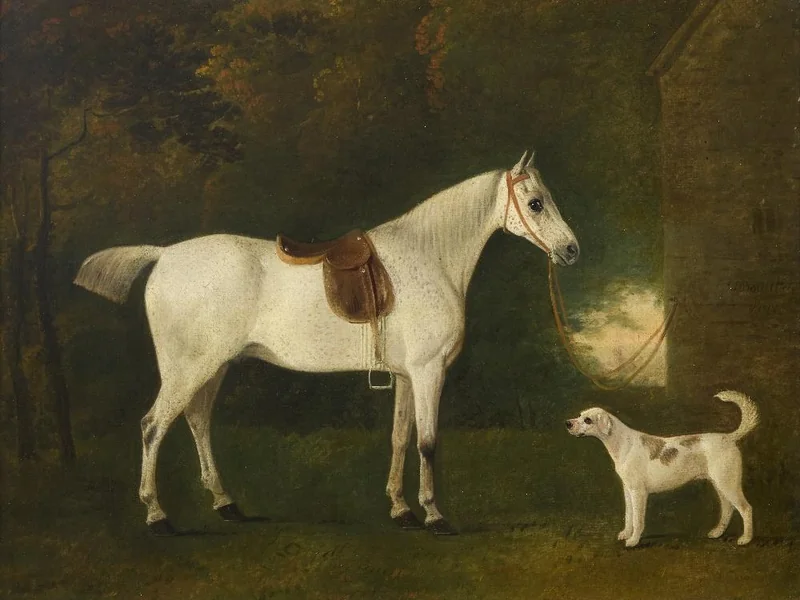 1753-John Boultbee - Ritratto di un cavallo bianco pomellato in un paesaggio, con un cane bianco al suo fianco